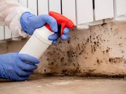 Best Mold Documentation for Insurance Claims  in Austintown, OH